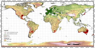 Ecological Niche Shifts Affect the Potential Invasive Risk of Rapistrum rugosum (L.) All. in China